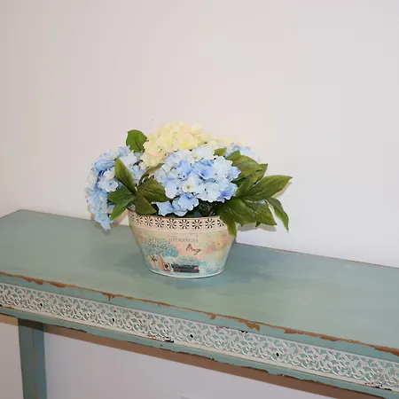 Rossio Apartamento *